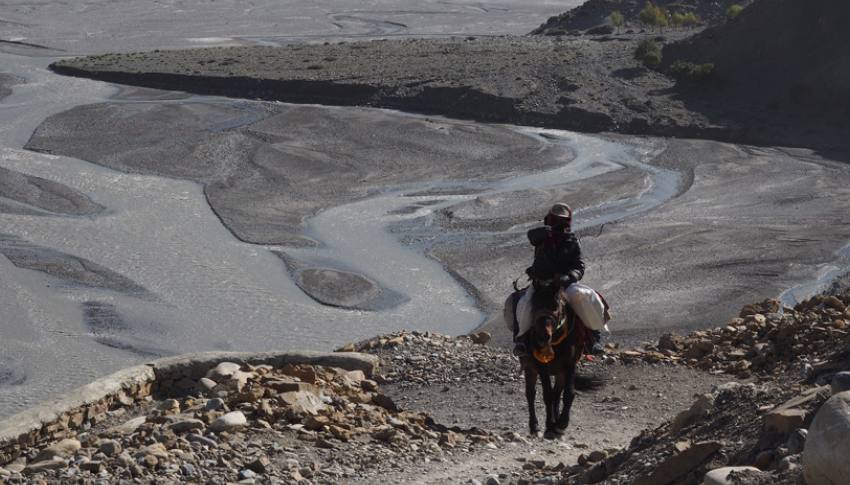 Horseman near, Ekle Bhatti 